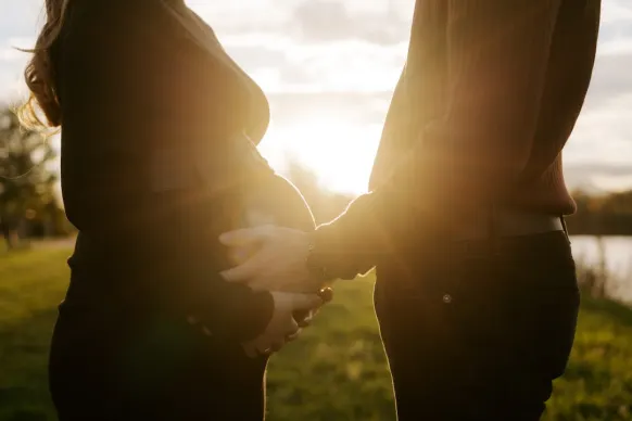 فيجاز كازينو الدعم